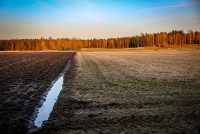 Road amidst trees on field against sky
