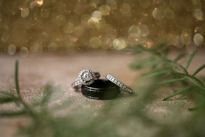 Close-up of wedding rings on leaf against blurred background