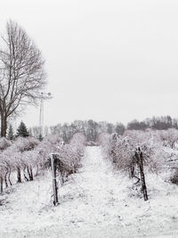 Scenic view of snow covered field against clear sky