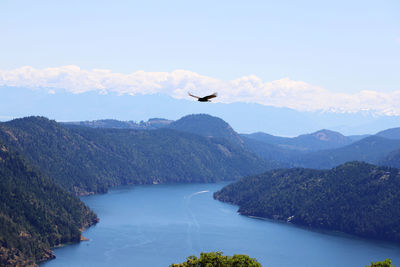 Bird flying over mountains against sky