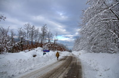Rear view of man walking on snow covered landscape