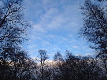 Low angle view of bare trees against cloudy sky