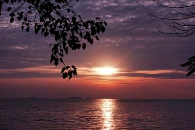 Silhouette tree by sea against sky during sunset