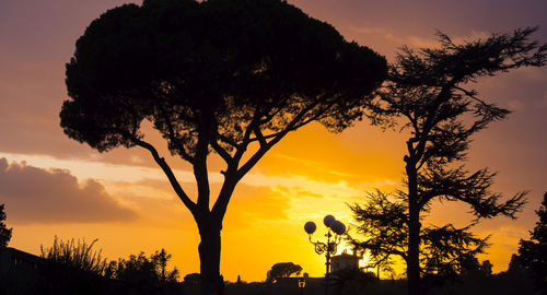 Silhouette trees against sky during sunset