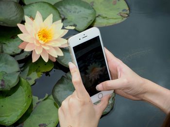 Cropped image of hands photographing lotus water lily through mobile phone