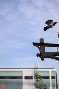 Low angle view of birds perching on built structure