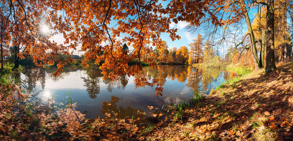 Reflection of trees on lake during autumn