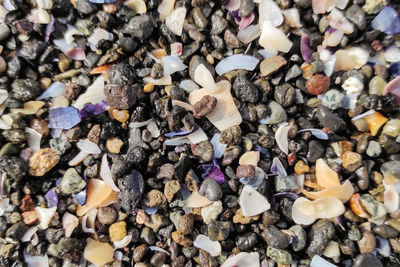 High angle view of multi colored stones