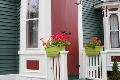 Flower pots on window of building