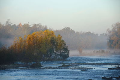 Scenic view of forest against sky during autumn