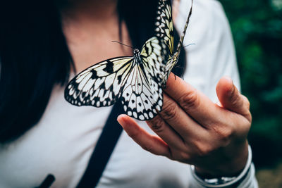 Close-up of butterfly on hand