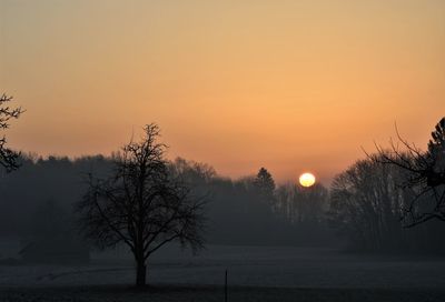 Silhouette trees on field against orange sky