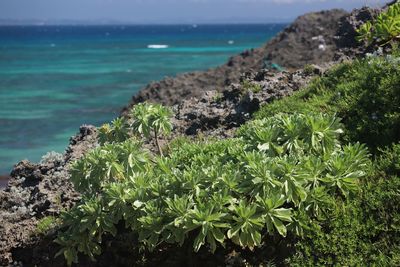 Scenic view of sea