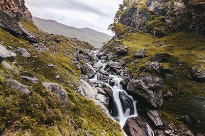 Scenic view of waterfall in forest