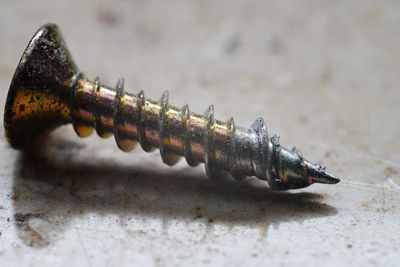 Close-up of caterpillar on rusty metal