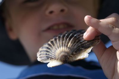 Low angle close-up of boy holding seashell