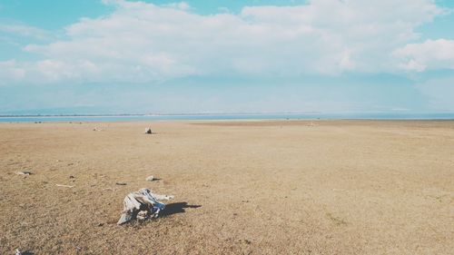 Scenic view of beach against cloudy sky