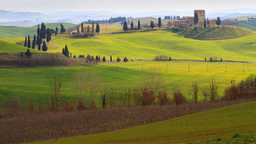 Scenic view of field against sky