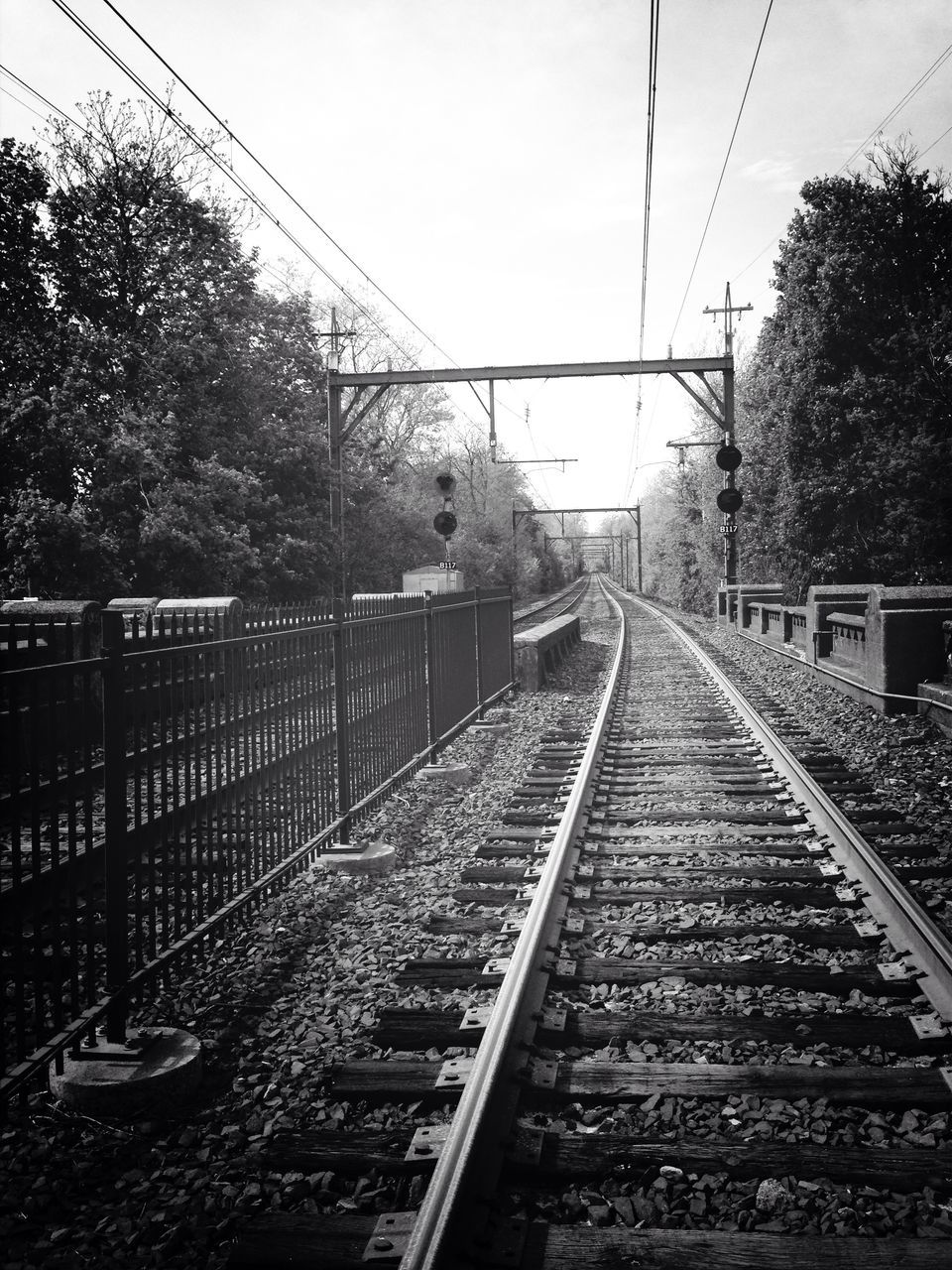 railroad track, rail transportation, diminishing perspective, the way forward, transportation, vanishing point, tree, clear sky, sky, railway track, metal, connection, public transportation, straight, day, railroad station, outdoors, long, power line, railroad station platform