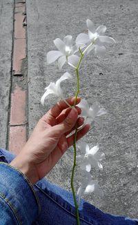 Low section of man holding flower