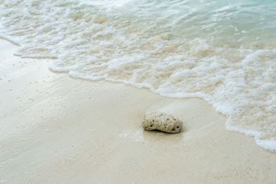 High angle view of surf on beach