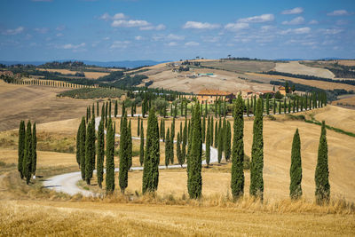 Panoramic shot of agricultural field against sky