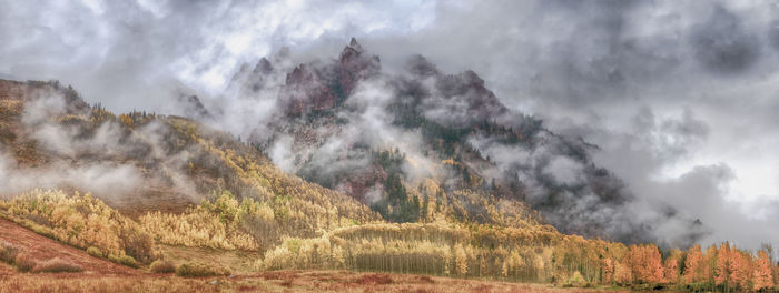 Panoramic view of trees against sky