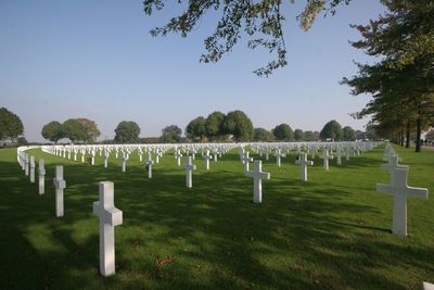 Crosses at the american cemetery against clear sky