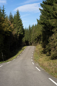 Road amidst trees against sky