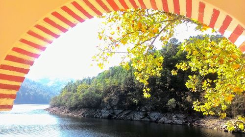 Scenic view of river amidst trees against sky