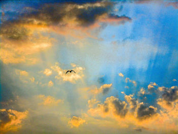 Low angle view of silhouette birds flying against sky