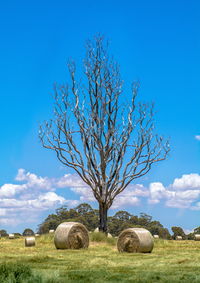 Hay bales on field against blue sky