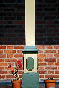 Red flower on brick wall