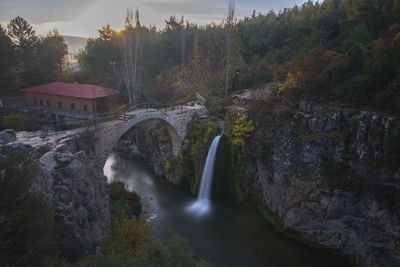 Scenic view of waterfall in forest