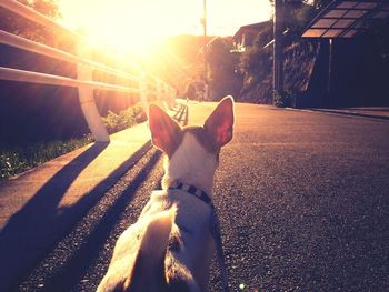 Road at sunset