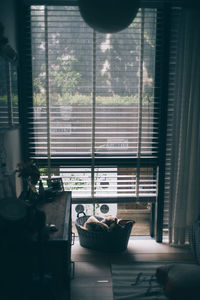 Potted plants on window sill at home