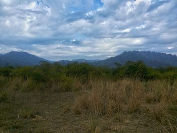 Scenic view of landscape against sky