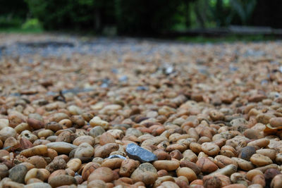 Close-up of stones on beach