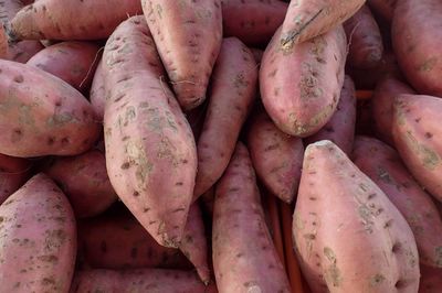 Full frame shot of sweet potatoes at market for sale