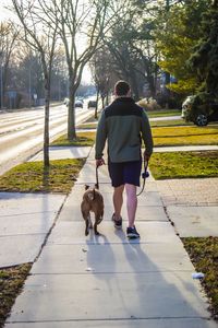 Rear view of man walking with dog on footpath