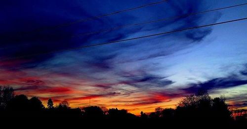 Silhouette of trees at sunset