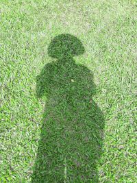 Shadow of people on field