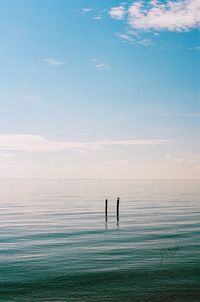 Wooden post in sea against sky