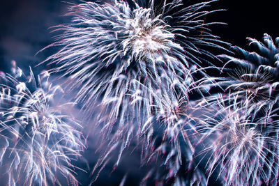 Low angle view of firework display at night