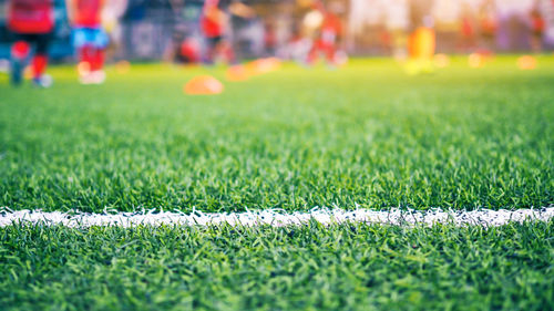 Close-up of soccer field