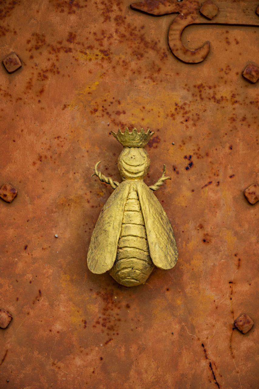 HIGH ANGLE VIEW OF LEMON ON WALL