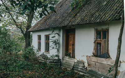 Old ruined village house between the trees. lonely abandoned estate. social problems.