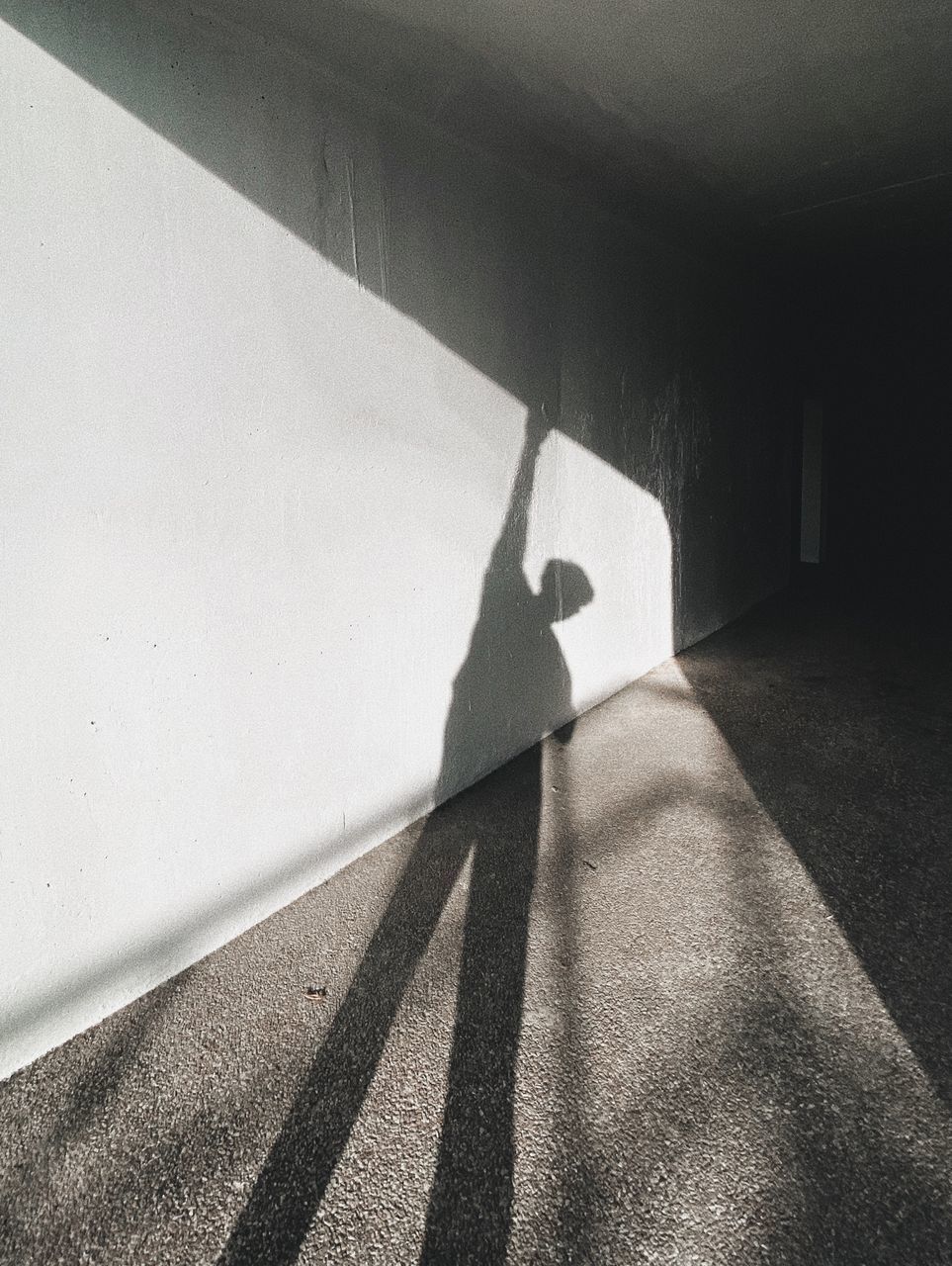 SHADOW OF PERSON ON WALL IN SUNLIGHT