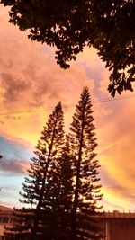 Silhouette trees against sky during sunset