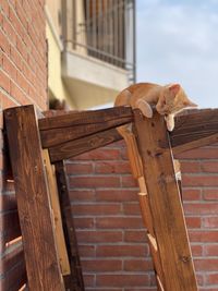 Low angle view of roof against building